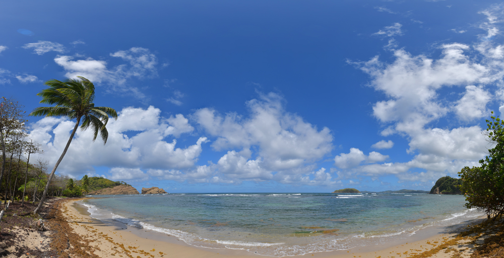 Preview Martinique verlassener Strand.jpg
